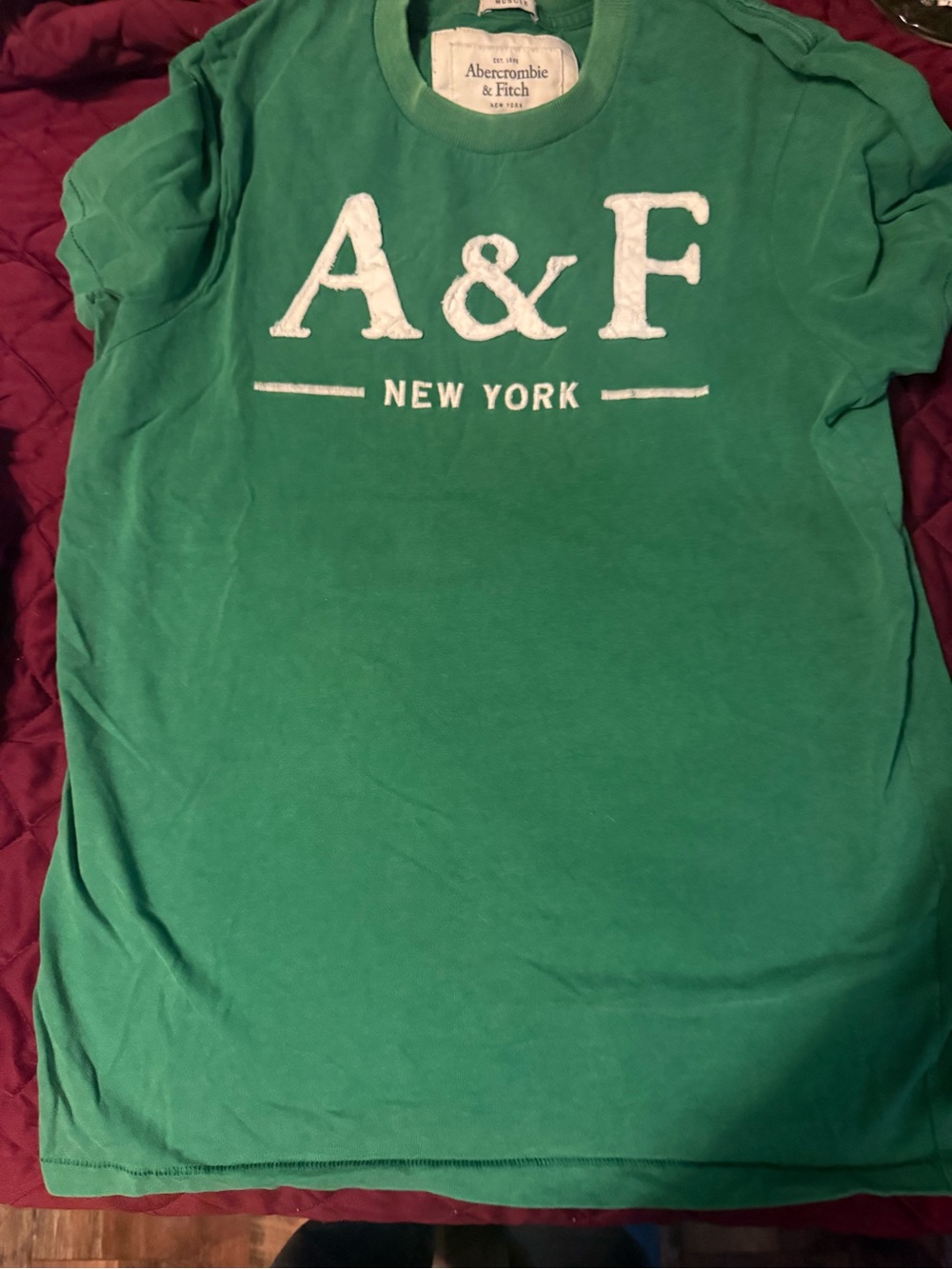 Abercrombie & Fitch Green A&F New York Logo Short Sleeve Tee